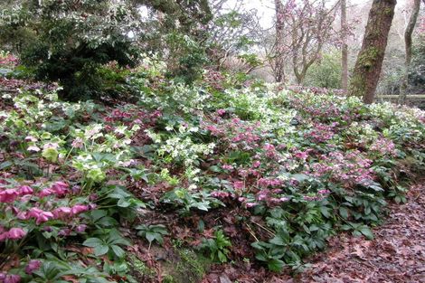 Photo of property in 38 Grammar Street, Kimbolton, 4777