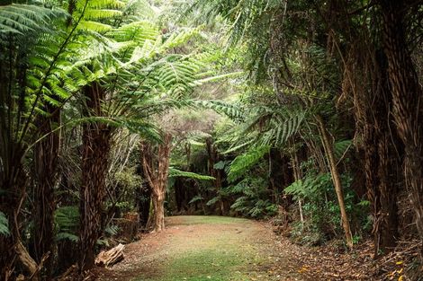 Photo of property in 183 Rangitane Road, Kerikeri, 0294
