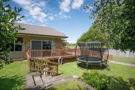 Photo of property in 8 Perth Place, Awapuni, Palmerston North, 4412