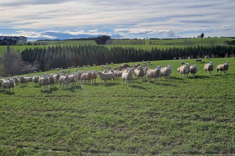 Photo of property in 41 Gray Road, Waitepeka, Balclutha, 9271