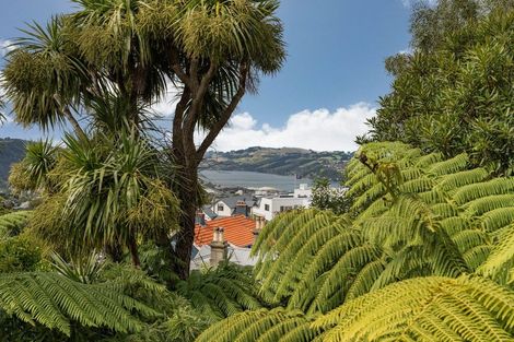 Photo of property in 44 City Road, Roslyn, Dunedin, 9010