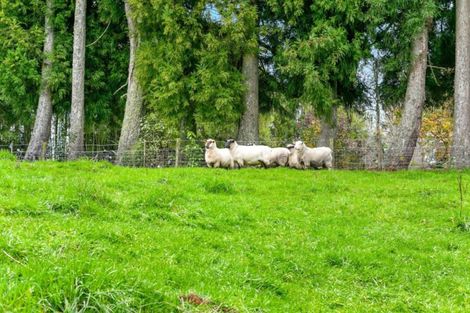 Photo of property in 98 Glue Pot Road, Oropi, Tauranga, 3173