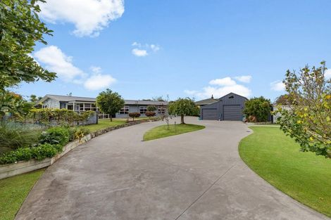 Photo of property in 13 Gordon Terrace, Matamata, 3400