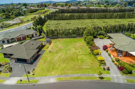 Photo of property in 7 Corwen Avenue, Hairini, Tauranga, 3112
