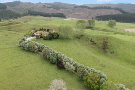 Photo of property in 709 Tairua Sh25 Road, Onemana, Whangamata, 3691
