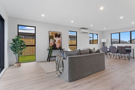 Photo of property in 9 Pelham Place, Lincoln, 7608