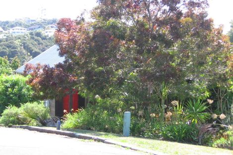 Photo of property in 41 Lingham Crescent, Torbay, Auckland, 0630