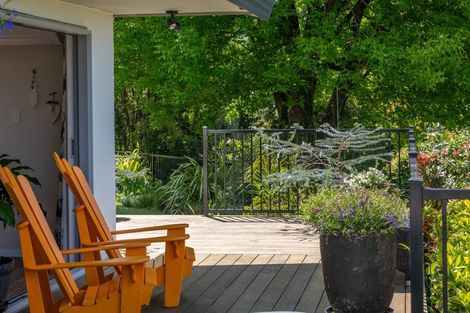 Photo of property in 313 Youngson Road, Whakamarama, Tauranga, 3179