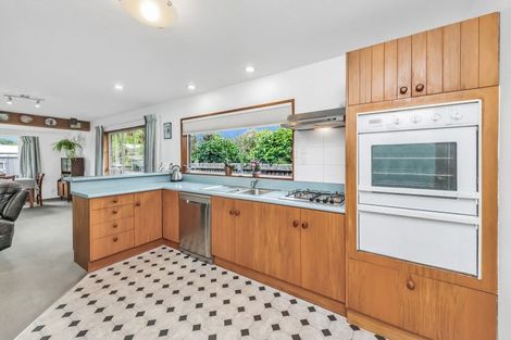 Photo of property in 16 Mountain View Place, Leeston, 7632