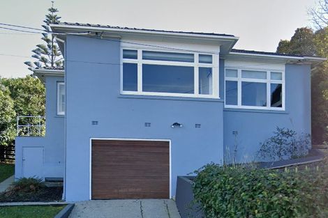 Photo of property in 14 Coney Hill Road, Saint Clair, Dunedin, 9012