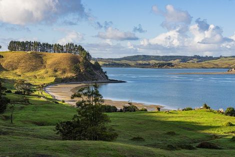 Photo of property in 164 Beatson Road, Whakapirau, 0583