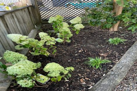 Photo of property in 8a Hall Street, Cambridge, 3434