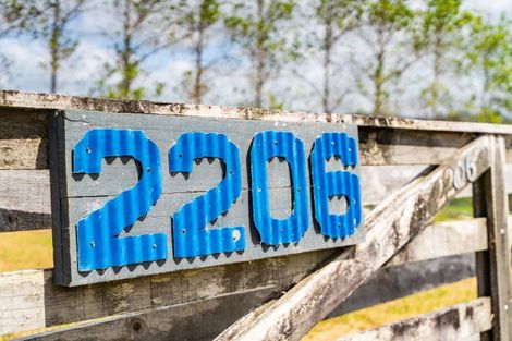 Photo of property in 2206 Cove Road, Mangawhai, 0573