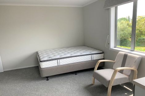 Photo of property in 11 Knighton Road, Hillcrest, Hamilton, 3216