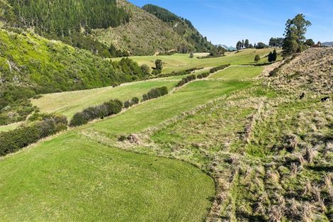 Photo of property in 333 Hill View Road, Motupipi, Takaka, 7183