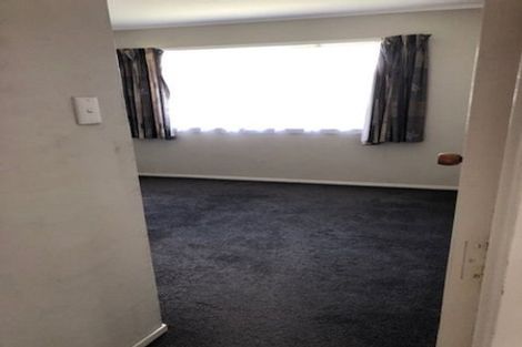 Photo of property in 157c Nixon Street, Hamilton East, Hamilton, 3216