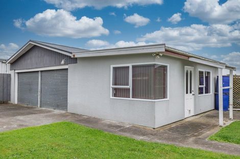 Photo of property in 43 Tiro Tiro Road, Levin, 5510