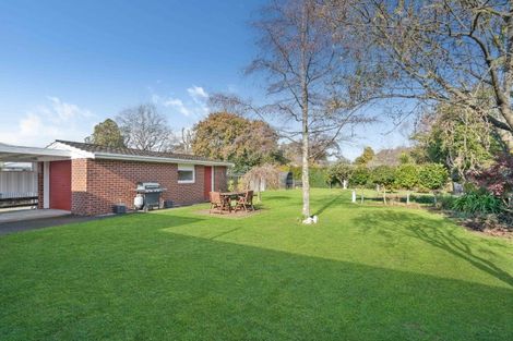 Photo of property in 35 Miro Street, Lansdowne, Masterton, 5810