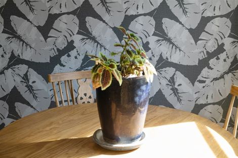 Photo of property in 45 Carroll Street, Waharoa, 3401