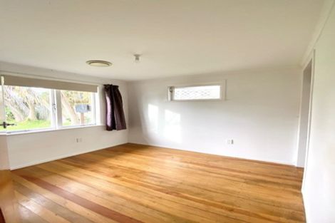 Photo of property in 14 Alan Avenue, Henderson, Auckland, 0610