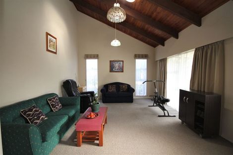 Photo of property in 58 Parry Palm Avenue, Waihi, 3610