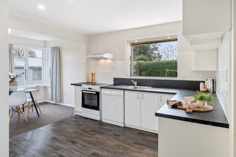 Photo of property in 133 Buchanans Road, Hei Hei, Christchurch, 8042