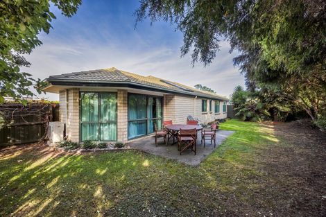 Photo of property in 176 Lowes Road, Rolleston, 7614