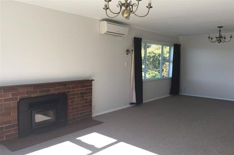 Photo of property in 41 Larsen Crescent, Tawa, Wellington, 5028