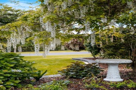 Photo of property in 129c Moffat Road, Bethlehem, Tauranga, 3110