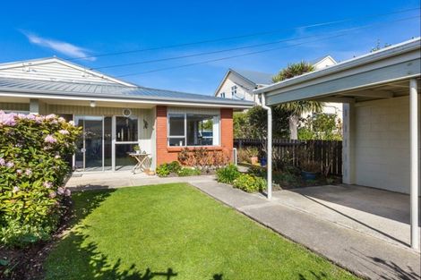 Photo of property in 66a Albert Street, Saint Clair, Dunedin, 9012