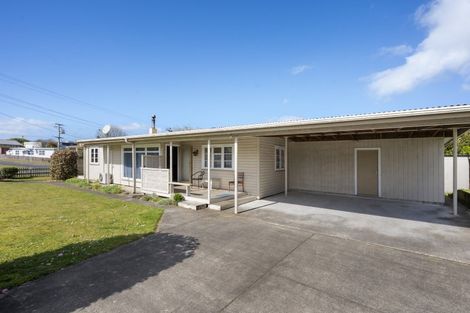 Photo of property in 91 Rangatira Drive, Mangakino, 3421