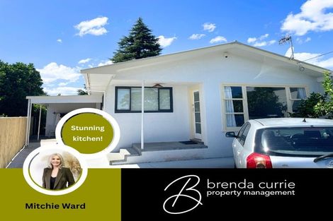 Photo of property in 341 Ruahine Street, Terrace End, Palmerston North, 4410