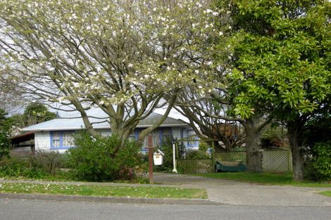 Photo of property in 10 Churchill Street, Levin, 5510