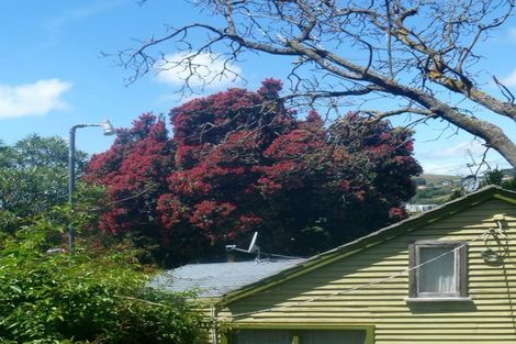 Photo of property in 175 Hackthorne Road, Cashmere, Christchurch, 8022