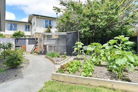 Photo of property in 12 Mayo Place, Belfast, Christchurch, 8051