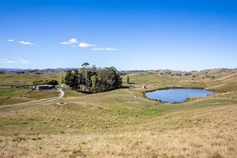 Photo of property in 300 Pattison Road, Akina, Hastings, 4122