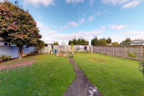 Photo of property in 4 Hadfield Street, Levin, 5510