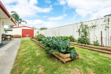 Photo of property in 19 Margaret Place, Lytton West, Gisborne, 4010