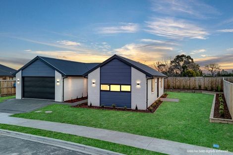 Photo of property in 14 Greig Crescent, Amberley, 7481