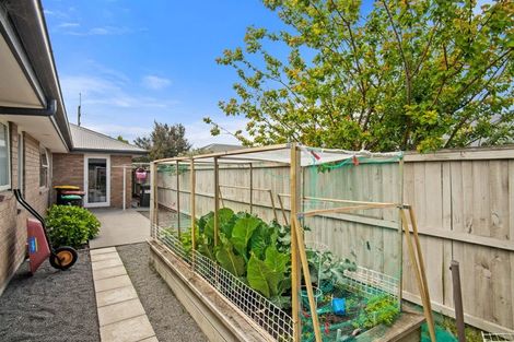 Photo of property in 33 Parklea Avenue, Halswell, Christchurch, 8025