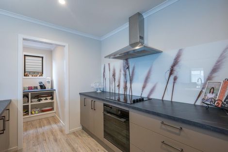 Photo of property in 16 Kahikatea Way, Appleby, Richmond, 7020