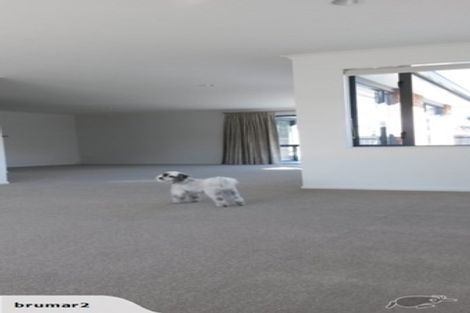 Photo of property in 4 Cobham Lane, Whitianga, 3510