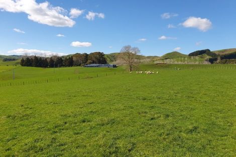 Photo of property in 777 Waitetuna Valley Road, Waitetuna, Raglan, 3295