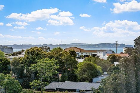 Photo of property in 52b Tiri Road, Manly, Whangaparaoa, 0930