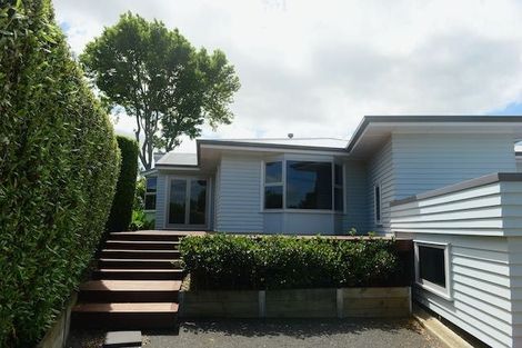 Photo of property in 46 Wymer Terrace, Chartwell, Hamilton, 3210