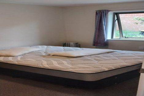 Photo of property in 97 Queen Street, North Dunedin, Dunedin, 9016