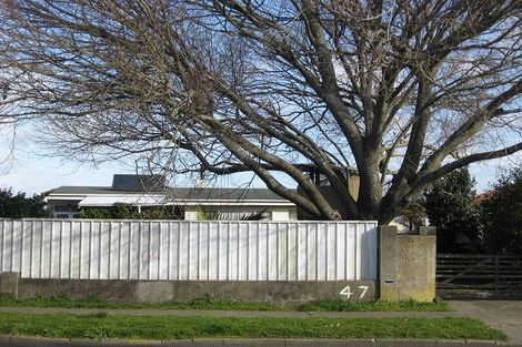 Photo of property in 47 Bridge Street, Whakatane, 3120