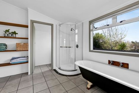 Photo of property in 22 Downe Street, New Plymouth, 4310