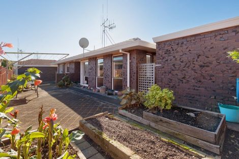 Photo of property in 738b Cameron Road, Tauranga South, Tauranga, 3112
