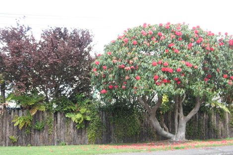 Photo of property in 74a Grand Vue Road, Kawaha Point, Rotorua, 3010